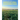 Agricultural Cooperatives