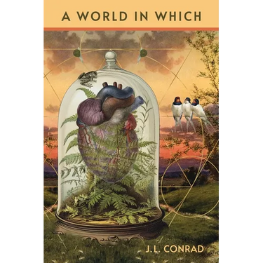 A World in Which