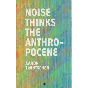 Noise Thinks the Anthropocene: An Experiment in Noise Poetics