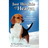 Just This Side Of Heaven