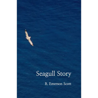 Seagull Story