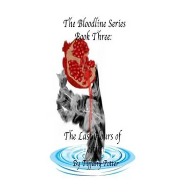 The Bloodlines Series: Book Three: The Last Hours of Destiny