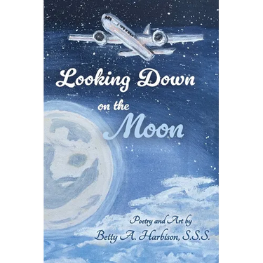 Looking down on the Moon