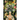 The Girl with No Reflection