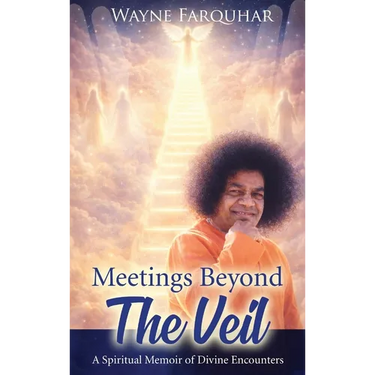 Meetings Beyond the Veil