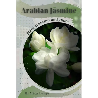 Arabian Jasmine: Plant overview and guide