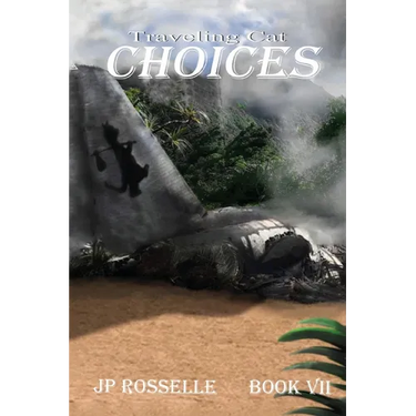 Traveling Cat: Choices