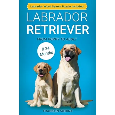 Labrador Retriever: From Puppy to Adult (0-24 Months)