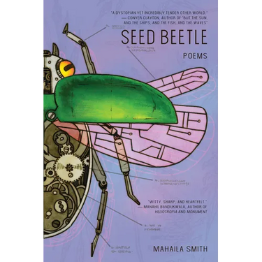 Seed Beetle