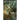 Apex Magazine 2021