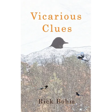 Vicarious Clues