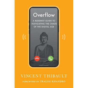 Overflow: A Buddhist Guide to Navigating the Chaos of the Digital Age