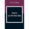 Nuova; or, The New Bee