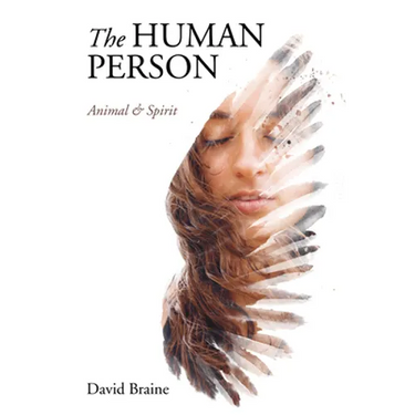 The Human Person