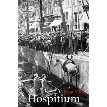 Hospitium