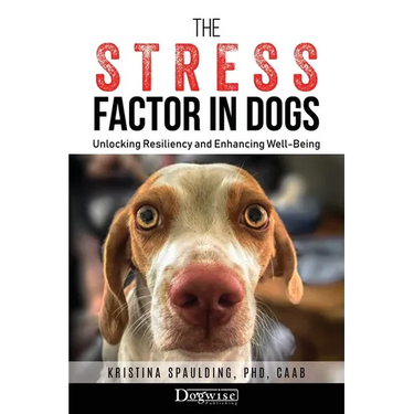 The Stress Factor in Dogs: Unlocking Resiliency and Enhancing Well-Being