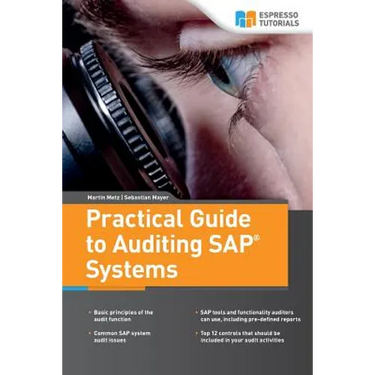 Practical Guide to Auditing SAP Systems