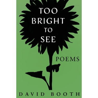 Too Bright to See
