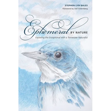 Ephemeral by Nature: Exploring the Exceptional with a Tennessee Naturalist