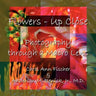Flowers - Up Close: Photography through a Macro Lens