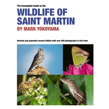 The Incomplete Guide to the Wildlife of Saint Martin