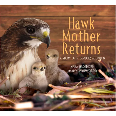Hawk Mother Returns: A Story of Interspecies Adoption