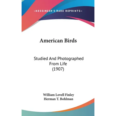 American Birds: Studied And Photographed From Life (1907)