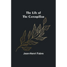 The Life of the Caterpillar