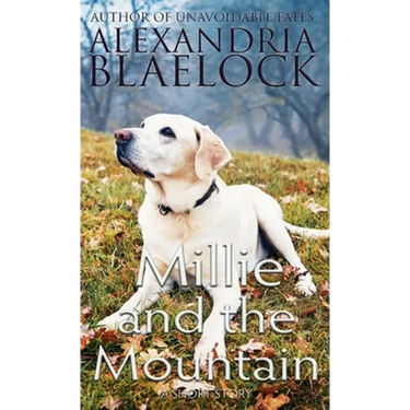 Millie and the Mountain