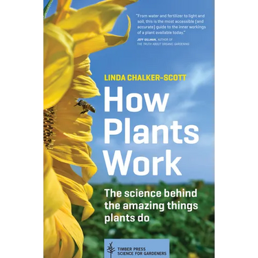 How Plants Work: The Science Behind the Amazing Things Plants Do