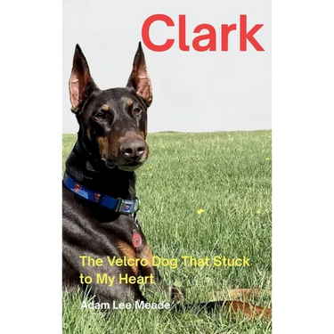 Clark: The Velcro Dog That Stuck to My Heart