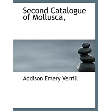 Second Catalogue of Mollusca,