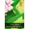 Mater Christi Meditations On Our Lady