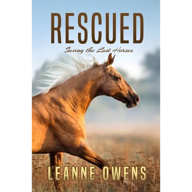 Rescued: Saving the Lost Horses
