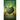 In Defense of Earth