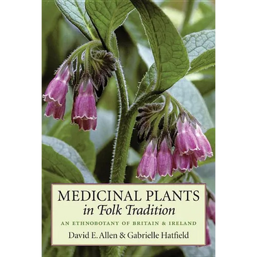 Medicinal Plants in Folk Tradition