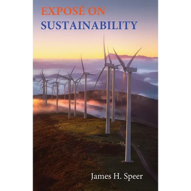Exposé on Sustainability