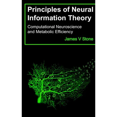 Principles of Neural Information Theory: Computational Neuroscience and Metabolic Efficiency