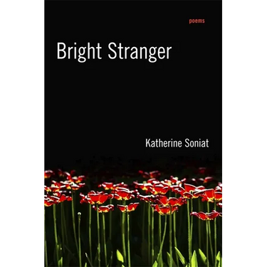 Bright Stranger: Poems