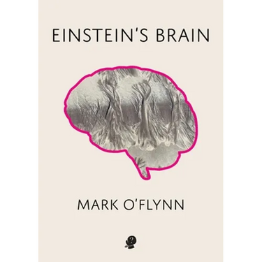 Einstein's Brain
