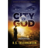 Premonition: A Time-Travel Suspense Novel