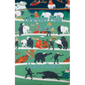 Tibetan Folk Tales
