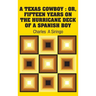 A Texas Cowboy: Or, Fifteen Years on The Hurricane Deck of a Spanish Boy