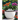 Spring Bloom: A Flower Coloring Book