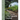 Designing, Planting and Using a Therapeutic Garden