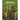 Agronomy: Food, Crops and Environment