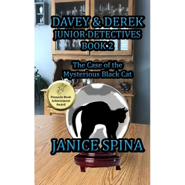 Davey & Derek Junior Detectives Series Book 2: The Case of the Mysterious Black Cat