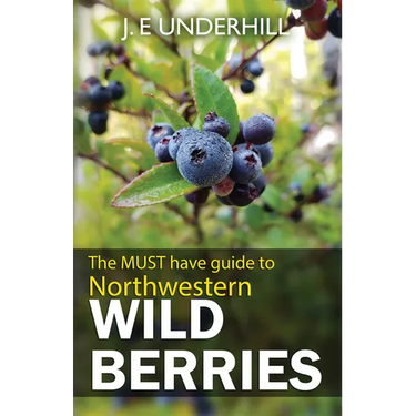 Guide to Northwestern Wild Berries