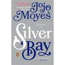 Silver Bay