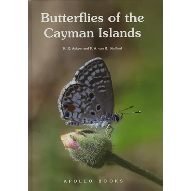 Butterflies of the Cayman Islands